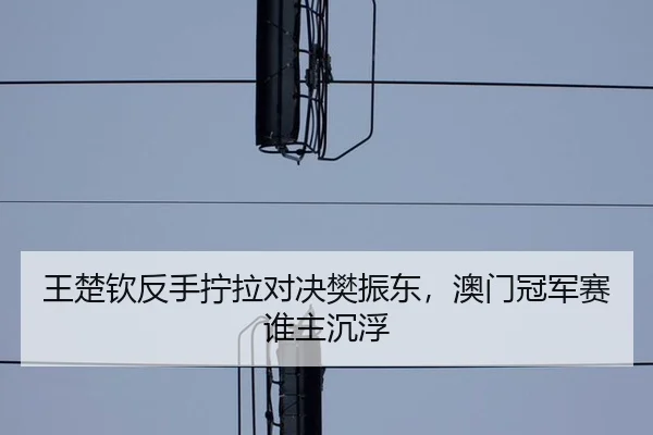 wang-chu-qin-fan-shou-ning-la-dui-jue-fan-zhen-dong-ao-men-guan-jun-sai-shui-zhu-chen-fu-2-617.jpg